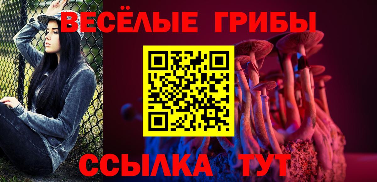 Галлюциногенные грибы ЛСД  Псилоцибиновые грибы ЛСД  Малгобек  Вход с VPN 